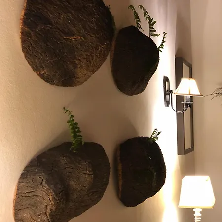 Boutique Holiday home