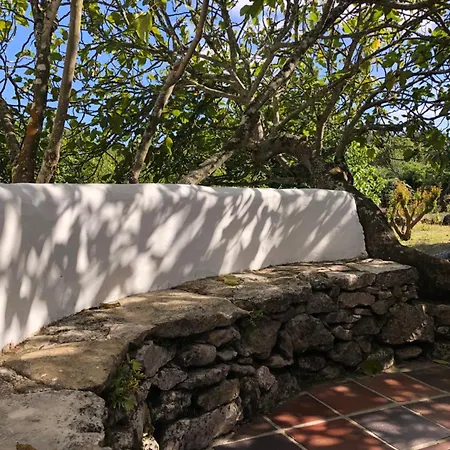 Boutique Holiday home Reguengo Grande